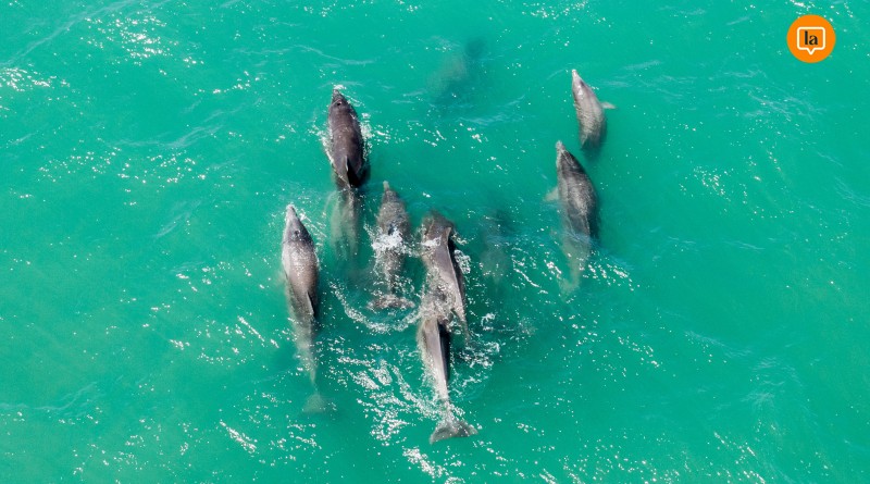 Diario La Palabra El Mar Invita A Vivir Un Invierno Con Variados