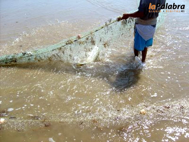 Diario La Palabra - Por su peligrosidad, prohíben el uso de trasmallos para  pescar en el mar